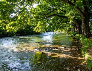 Naklejka premium Tranquil River Flowing Through Lush Green Trees in Bright Sunshine