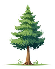 Layered branches pine tree illustration