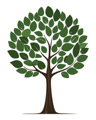 Obraz premium Tree with dense, textured green foliage