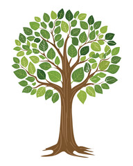 Obraz premium tree with dense green foliage