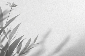 Gray Tone Plant Shadow on Texture Background