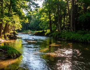 Serene River Flowing Through Lush Green Forest Under Bright Sunlight