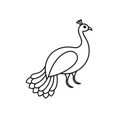 Vector illustration of Peacock line art