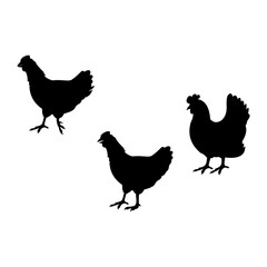 chicken vector logo silhouette white background