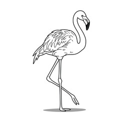 Obraz premium Flamingo bird drawing. This black and white outline illustrates a tall, graceful flamingo, known for its long legs and distinctive S-shaped neck. Vector sketch line art draw.