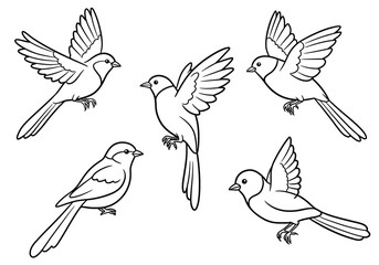 Obraz premium Five birds drawing. This black and white outline features a group of five small birds in various flying and perched positions, ideal for a children's activity. Vector sketch line art draw.