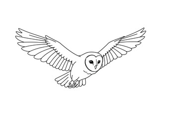 Obraz premium Flying owl drawing. This black and white outline depicts a barn owl or snowy owl in majestic flight with its wings fully extended. Vector sketch line art draw.