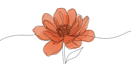 Elegant Coral Flower Line Art Single Bloom Watercolor Botanical Illustration