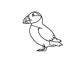 Puffin drawing. This black and white outline depicts a puffin, a charming seabird with a distinctive, large beak, often found in northern coastal regions. Vector sketch line art draw.