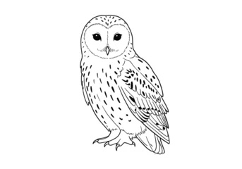  Snowy owl drawing. This black and white outline features a snowy owl, a large Arctic bird known for its striking white plumage and piercing eyes. Vector sketch line art draw. © CreativeDesign