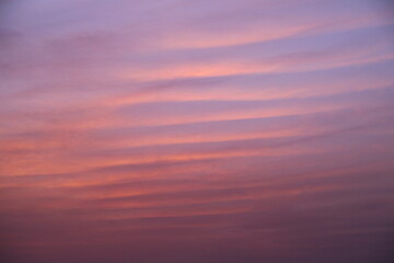 Fototapeta premium 波のような朝焼け雲