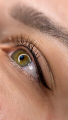 permanent eyeliner makeup close up. Healthy and clean skin young woman