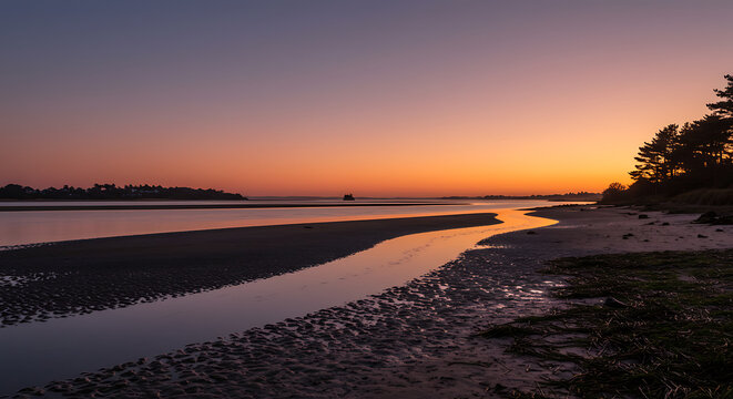 Serene Coastal Sunset Tranquil Estuary at Low Tide with Silhouetted Trees