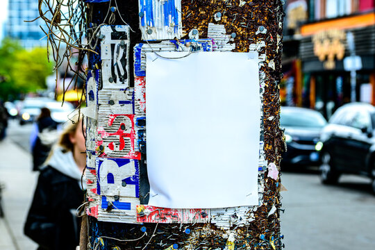 Wooden utility pole with blank white posted handbill surrounded by thousands of staples from previously posted handbills out of focus street scene in background vibrant boho vibe.