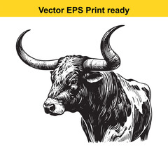 Texas Longhorn Bull Head and Standing Bull Vector Art | Bold Western Cattle Silhouette | Ranch Branding Clipart