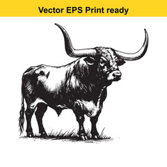 Texas Longhorn Bull Head and Standing Bull Vector Art | Bold Western Cattle Silhouette | Ranch Branding Clipart