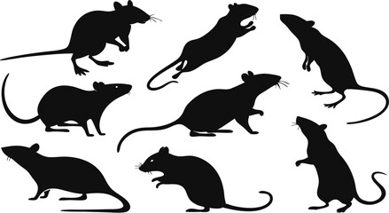 Obraz premium Collection of Mouse Silhouettes Diverse Poses and Styles for Design Projects