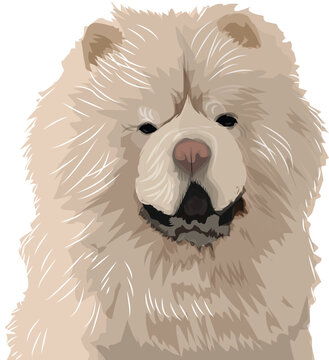 Vector art chuby chow chow dog drawing puppy