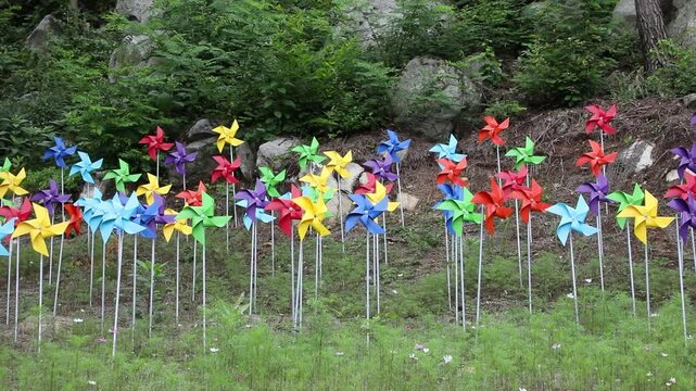 grassy landscape with a pinwheel