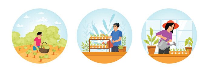 Fototapeta premium Woman Harvesting Vegetables in a Garden. Man Watering plants. Woman Watering Fresh Herbs.