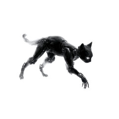 Obraz premium Sleek Robotic Cat in Motion - Futuristic Feline Design