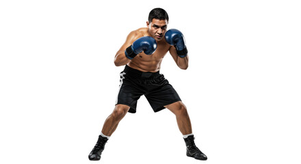 Male boxer in fighting stance on black background featuring athletic body and boxing attire