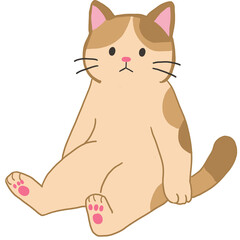 앉아있는 고양이