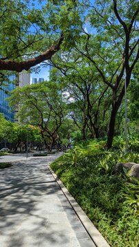 Scenic view of urban Ayala Triangle Gardens with green plants and trees in Makati City, Manila, Philippines