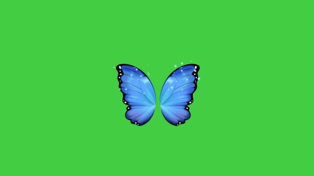 greenscreen video of butterfly wings flying bright blue