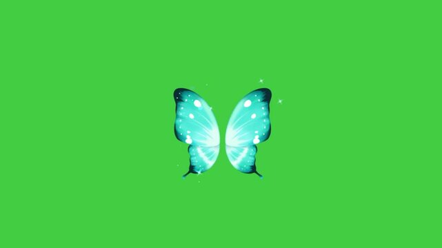 greenscreen beautiful turquoise butterfly wings