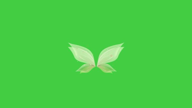 Fairy wings greenscreen beautiful sage green color