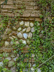Wall stone brick ivy-covered