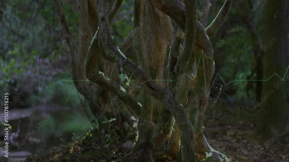 Poster green waveform drifting from left over forest roots and pulsing rightward visualizing data flow