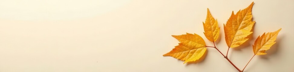 Sparse, elegant dry leaf composition on beige , craft, aesthetic, wood