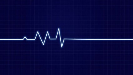 Stylized ECG line in glowing white on dark blue grid. Starts with oscillations, peaks, dips, then flatline. Clean, minimal layout. Subtle grid enhances the medical, technical theme.

