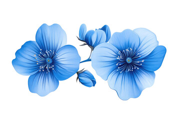 Illustration of a cluster of blue flowers with visible petals and stamen on a black background