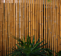The bamboo wall is mixed with green leaves.