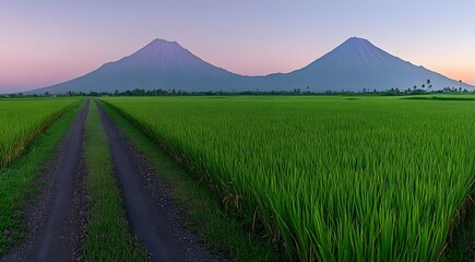 Fototapeta premium Vibrant Green Rice Field Leading to Majestic Twin Mountains Under a Gradient Sky at Sunrise