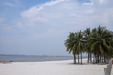 White Sand Beach With Palm Trees Lining The Shore, Overlooking The Ocean Under A Partly Cloudy Sky
