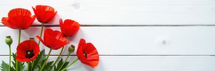 Obraz premium Close-up of bright red poppies against a rustic white wooden backdrop , summer, wildflowers
