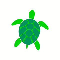 turtle on a white background