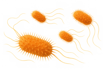 Microscopic 3d rendering depicting escherichia coli bacteria swimming, flagella propelling bacterial movement across transparent vector surface