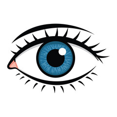 Illustration of a blue eye with lashes and eyebrow