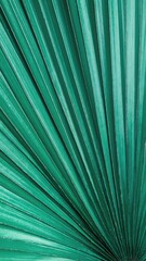 Obraz premium A vibrant green palm leaf showcasing intricate textures and patterns, with smaller leaves nestled within its lush, tropical foliage, creating a serene atmosphere.