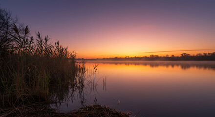 Fototapeta premium Serene Sunrise over Calm Lake with Reeds Misty Morning Landscape Photography