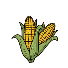 Obraz premium illustration of two corn cobs side-by-side with fresh green husks. Ideal for farm market branding, food packaging, or agriculture-themed content