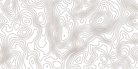 Abstract Swirl Pattern with White Paper Wave Relief – Modern Curved Line Topography Background for Elegant Design Projects