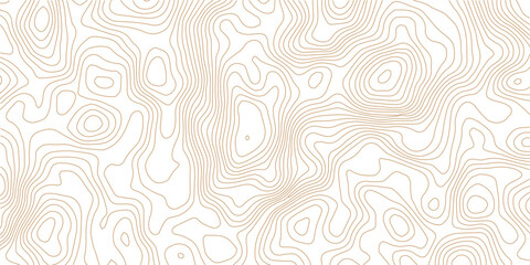 Abstract Swirl Pattern with White Paper Wave Relief – Modern Curved Line Topography Background for Elegant Design Projects