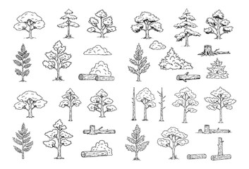 Forestry element set outline featuring trees, trunks, wood, and vegetation.