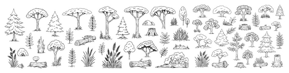 Vector outline of forestry elements featuring trees, bushes, and wooden trunks.